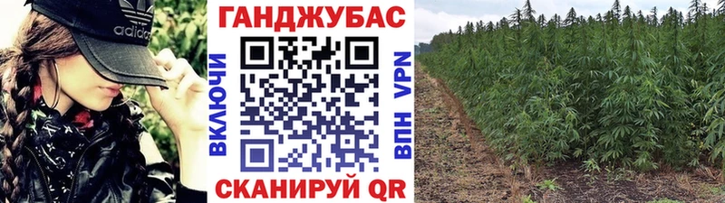 Наркота Тамбов Канабис  Героин  Мефедрон 