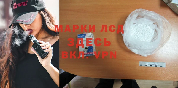 хмурый Аркадак