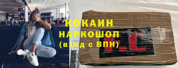 хмурый Аркадак