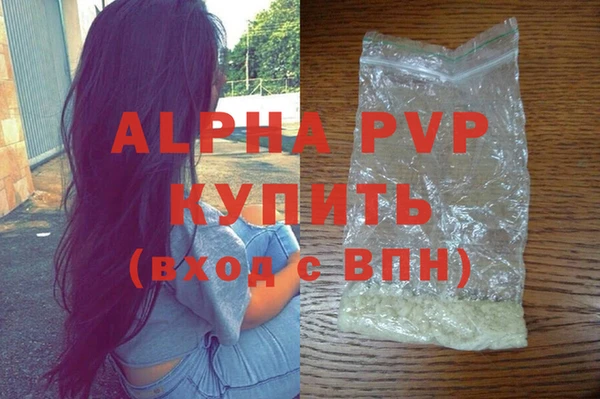 стафф Арсеньев