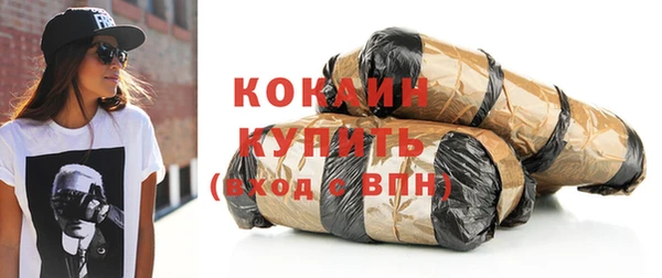 стафф Арсеньев