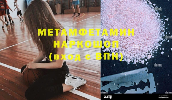 хмурый Аркадак