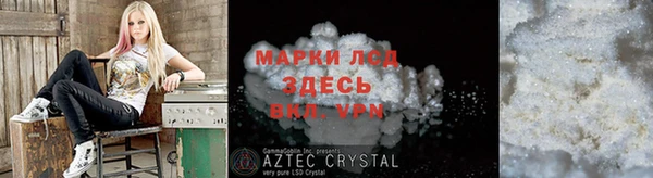 стафф Арсеньев