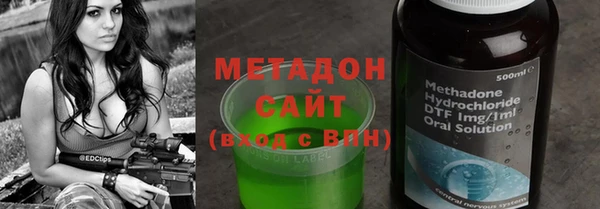 хмурый Аркадак