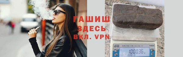 хмурый Аркадак