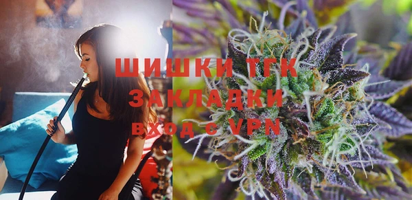 хмурый Аркадак