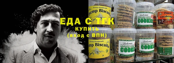 хмурый Аркадак