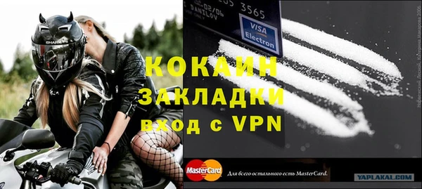 хмурый Аркадак