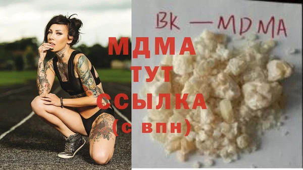 хмурый Аркадак