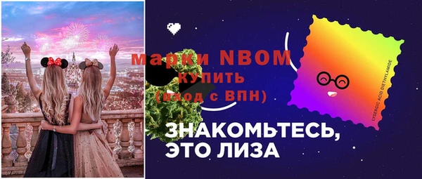хмурый Аркадак