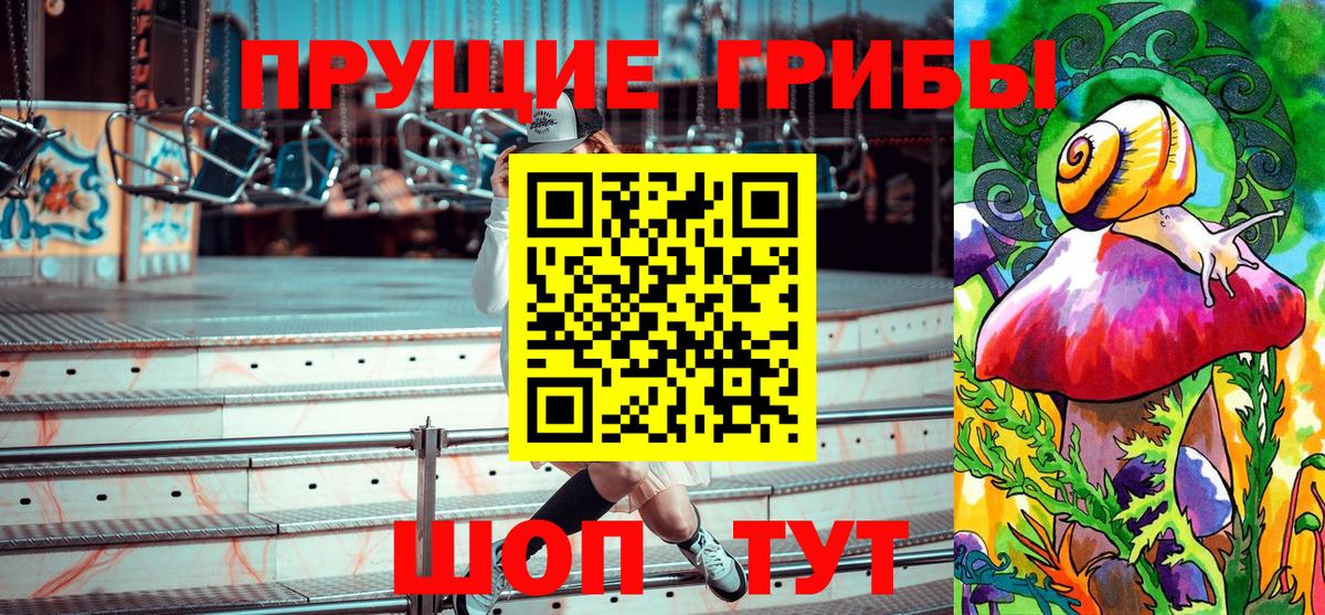 Тамбов  Галлюциногенные грибы Magic Shrooms  хочу   Вход с VPN 